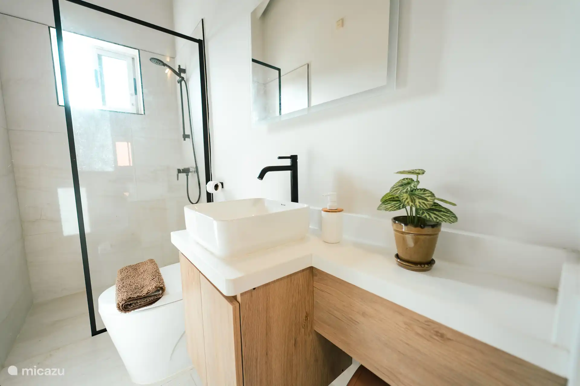 Badkamer 1 met douche, wastafel en toilet