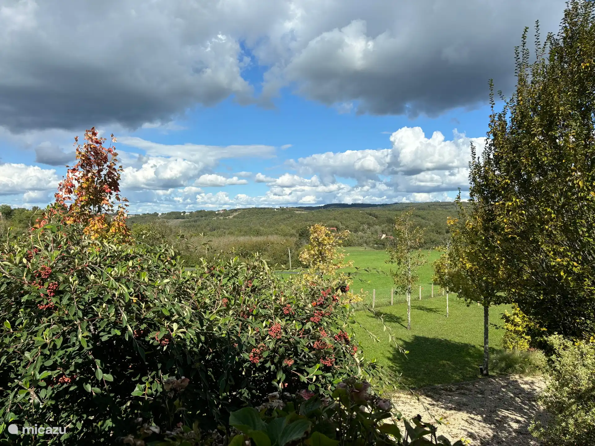 View from the terrace 