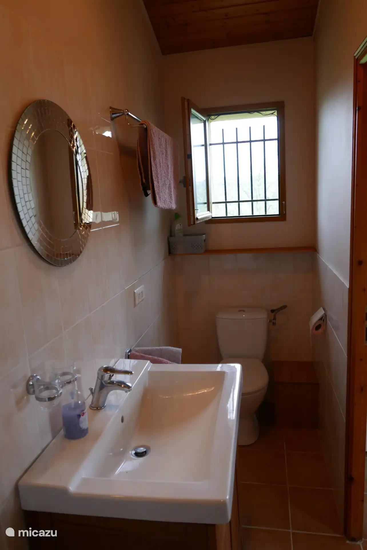 Bathroom guest house (tiny house)