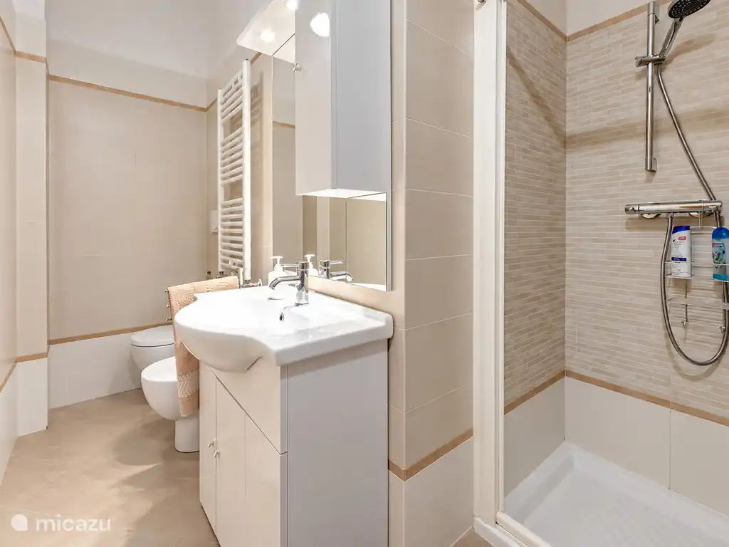 Salle de bain avec douche, lavabo, toilettes et serviette chauffante.