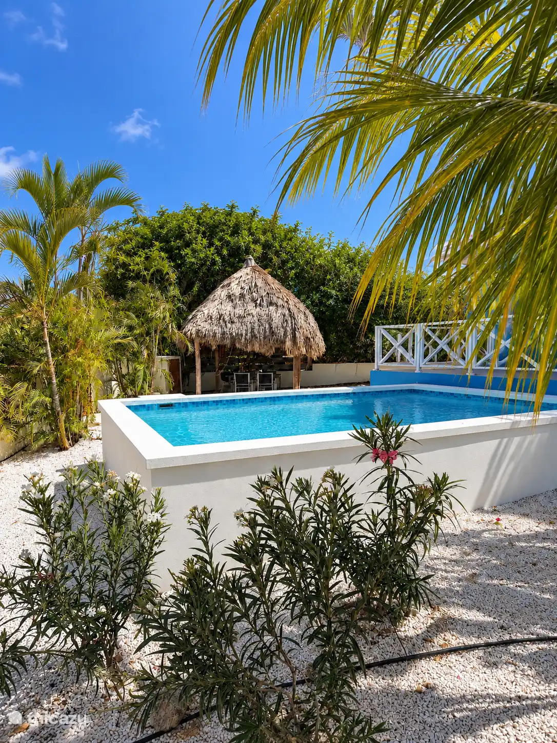 Zwembad zijaanzicht + palapa