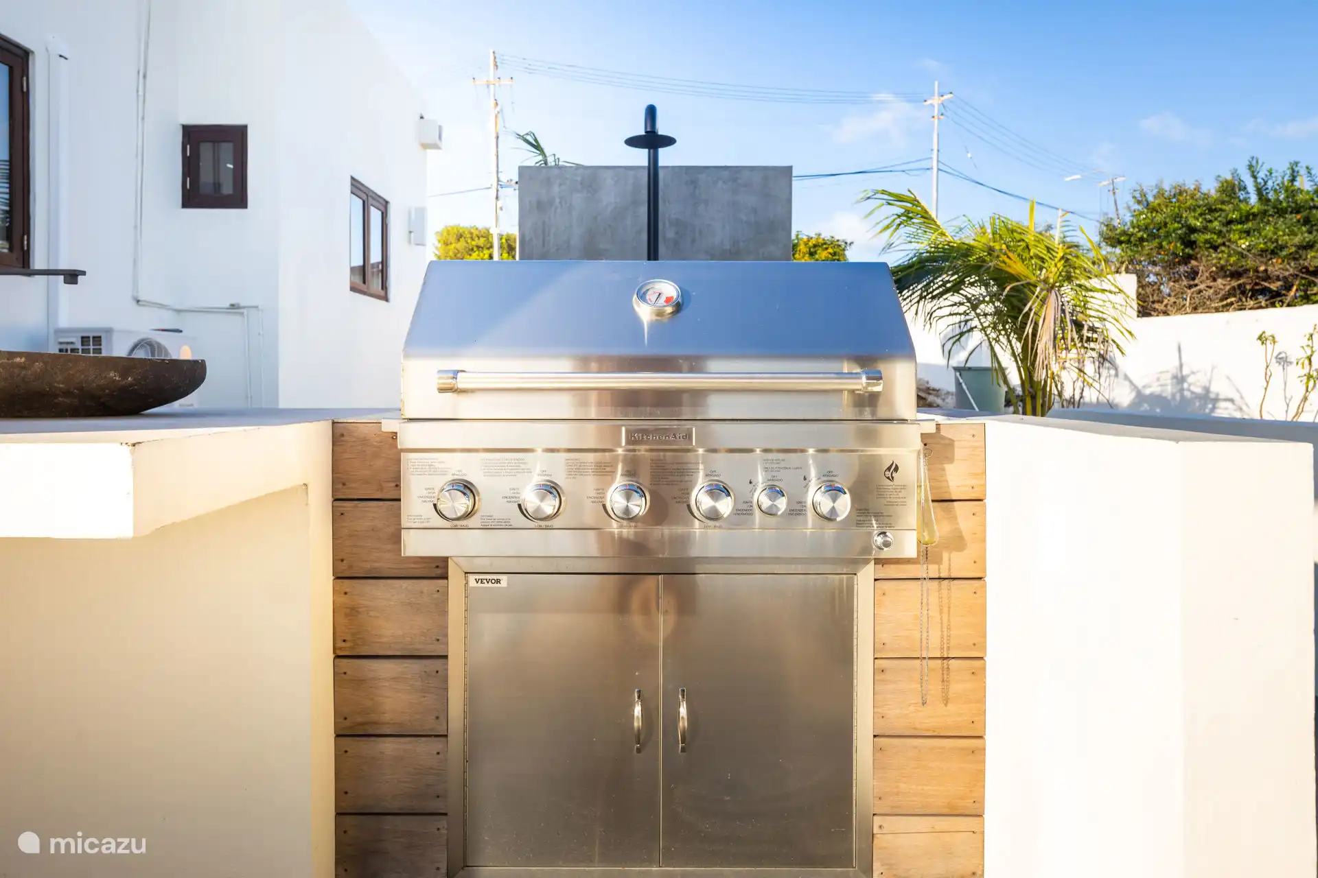 ¡Por supuesto, no se debe perder la barbacoa!
