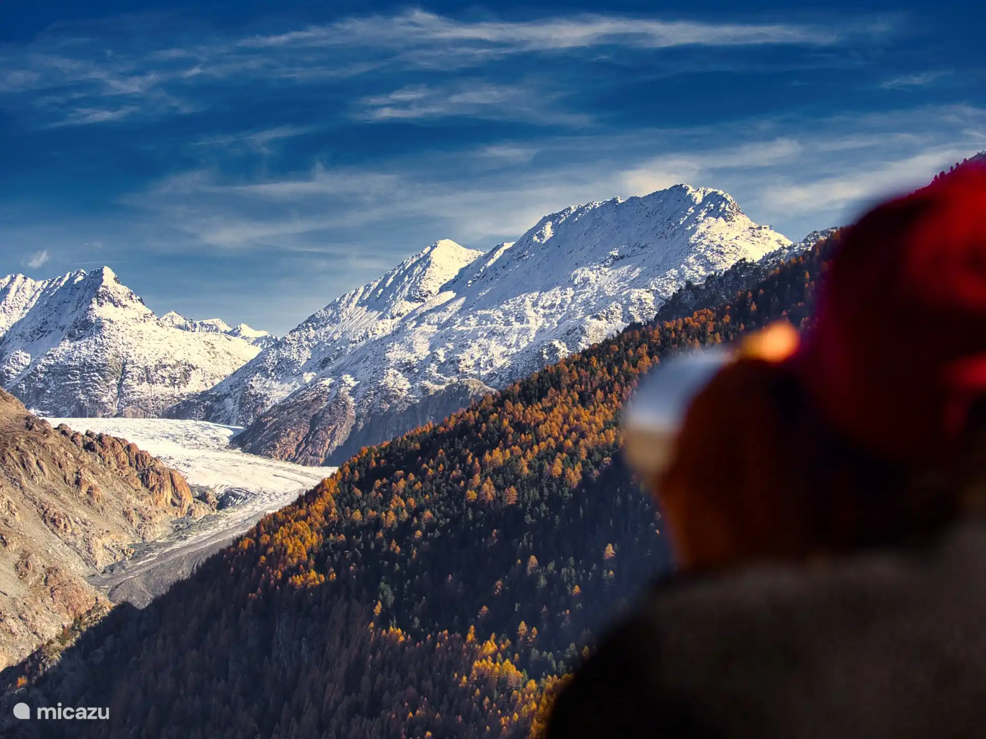 Der grosse Aletsch-Gletscher UNESCO Weltnaturerbe