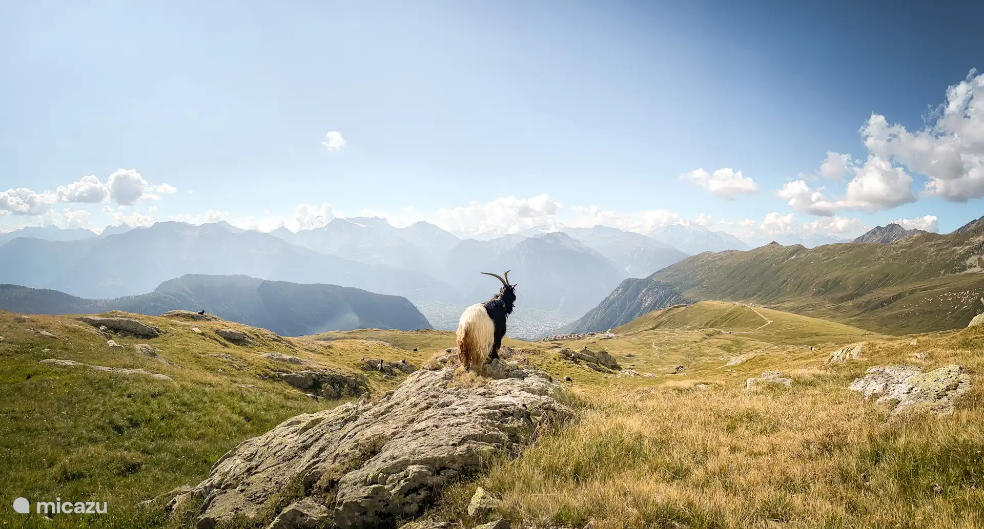 Natur Pur auf der Belalp!