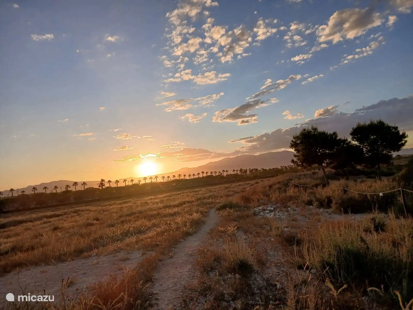 Bewonder de prachtige zonsondergangen bij Cielo Dorado, waar de hemel elke avond verandert in een schilderij van warme goudgele, oranje en roze tinten. Geniet van dit magische moment op het dakterras 