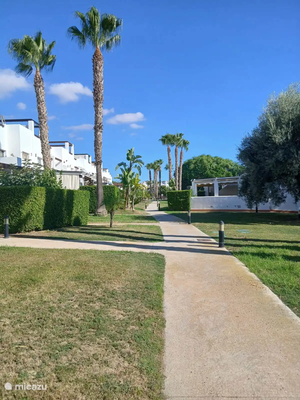 Ontdek de prachtige, groene tuinen van Jardín 1, waar palmbomen, mediterrane planten en kleurrijke bloemen zorgen voor een heerlijke vakantiesfeer. Wandel rustig rond, geniet van de natuur en kom hele