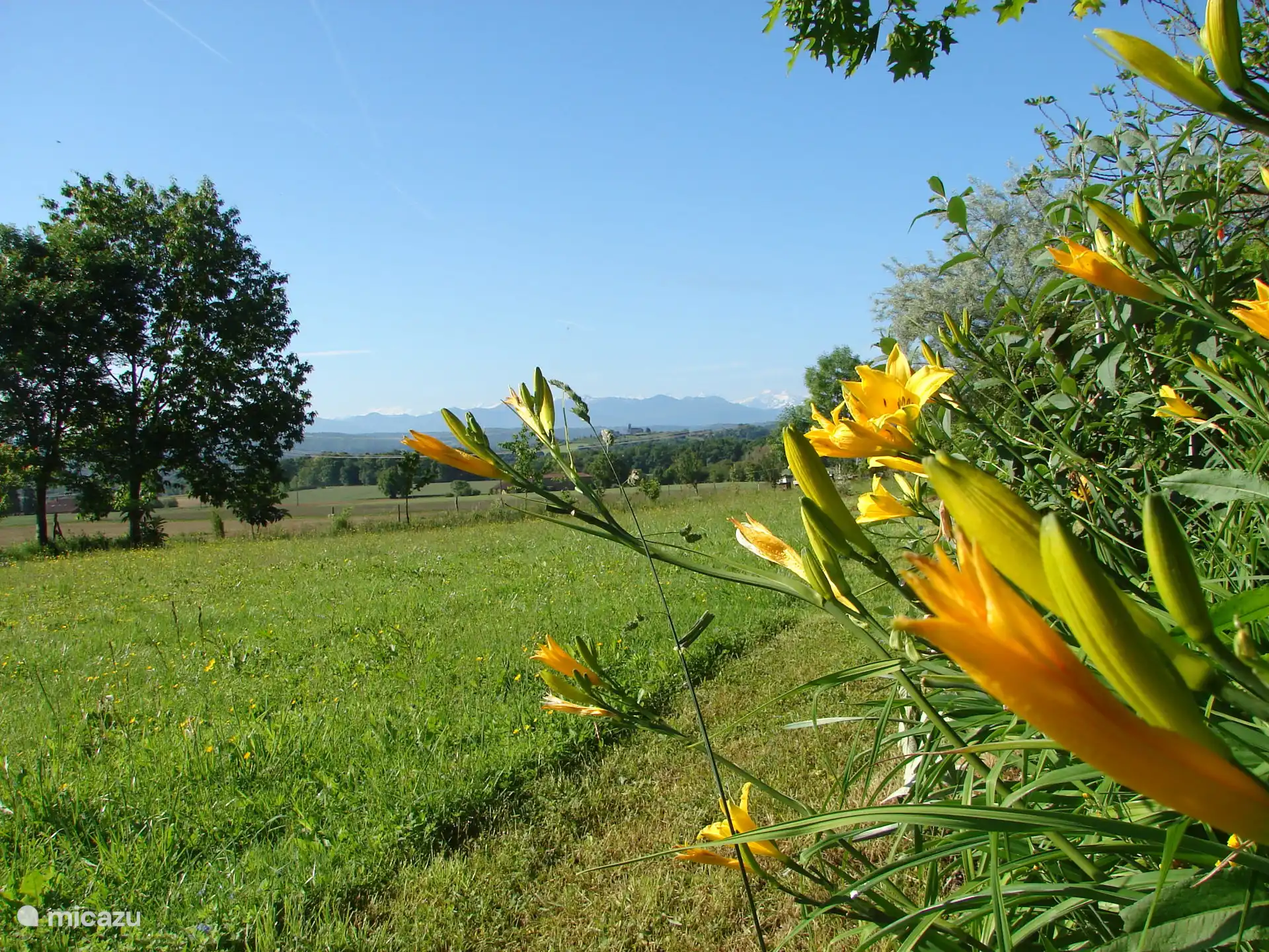 Grote weide met uitzicht op de Pyreneeën