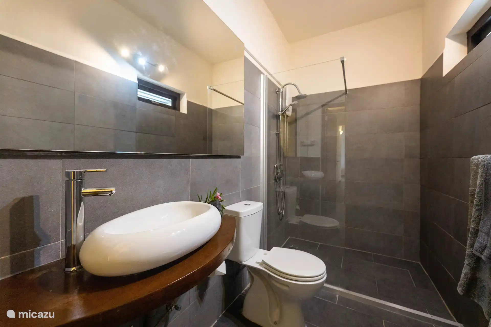Badkamer met douche en toilet.