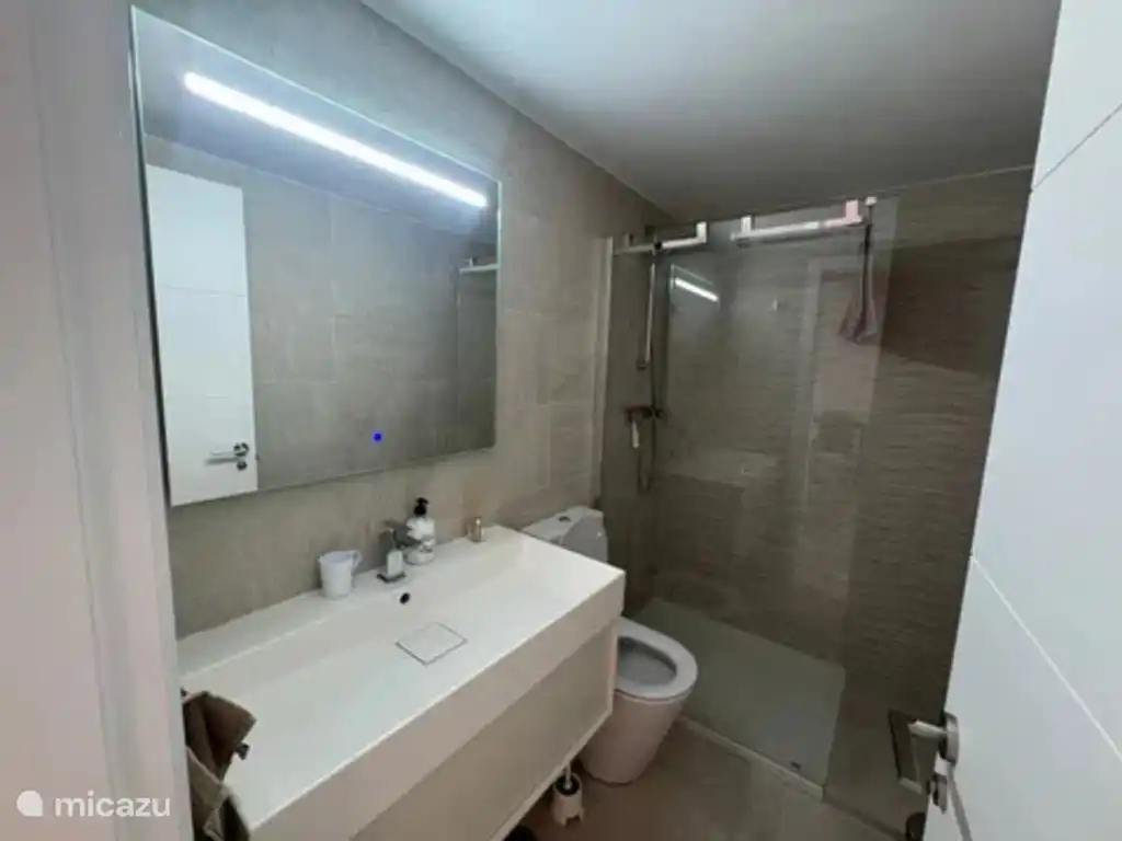 Badkamer met douche.
