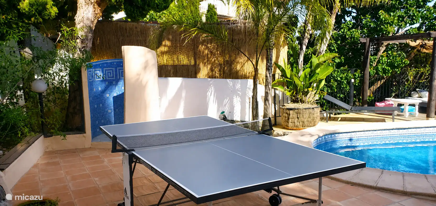 Ping pong