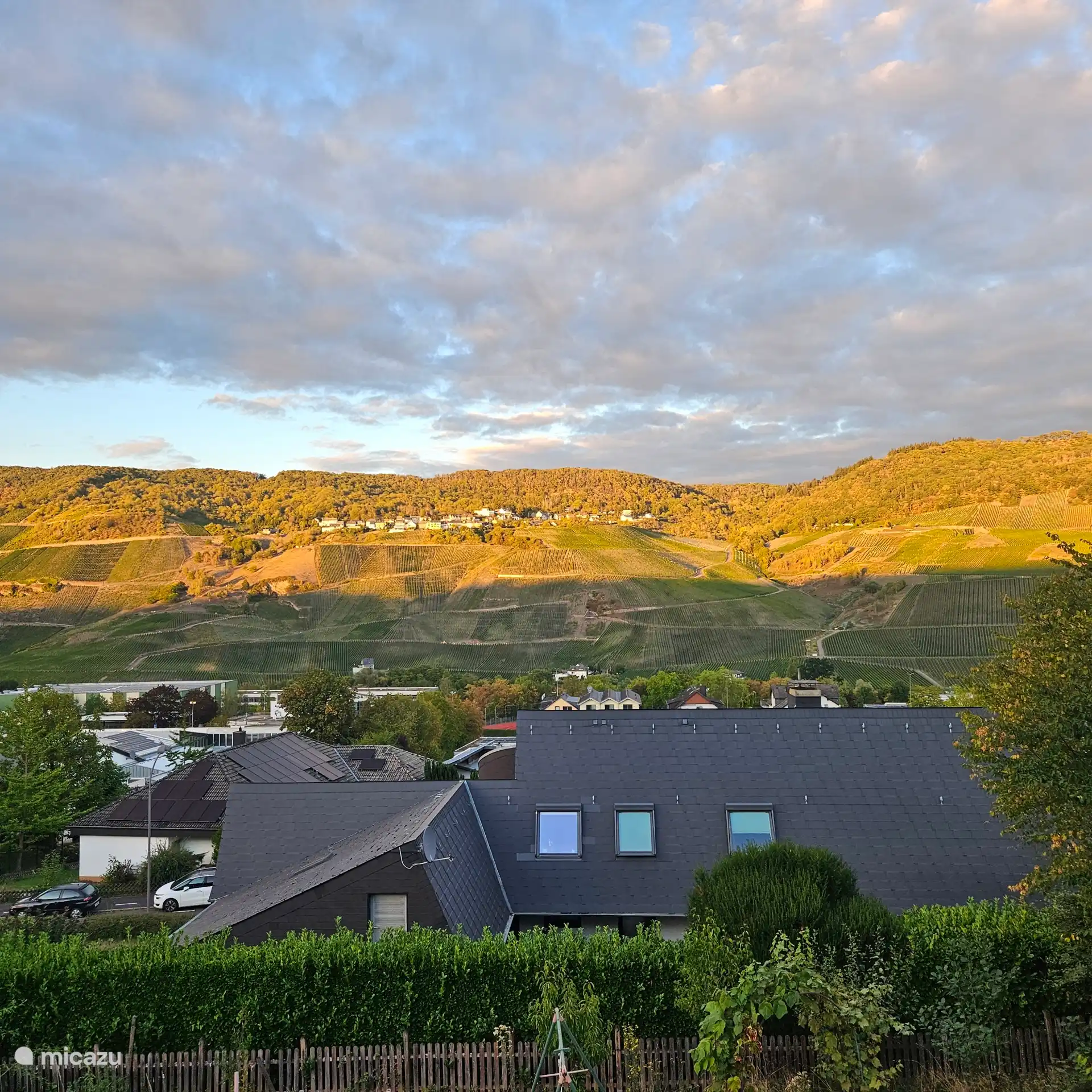 Vue sur le vignoble