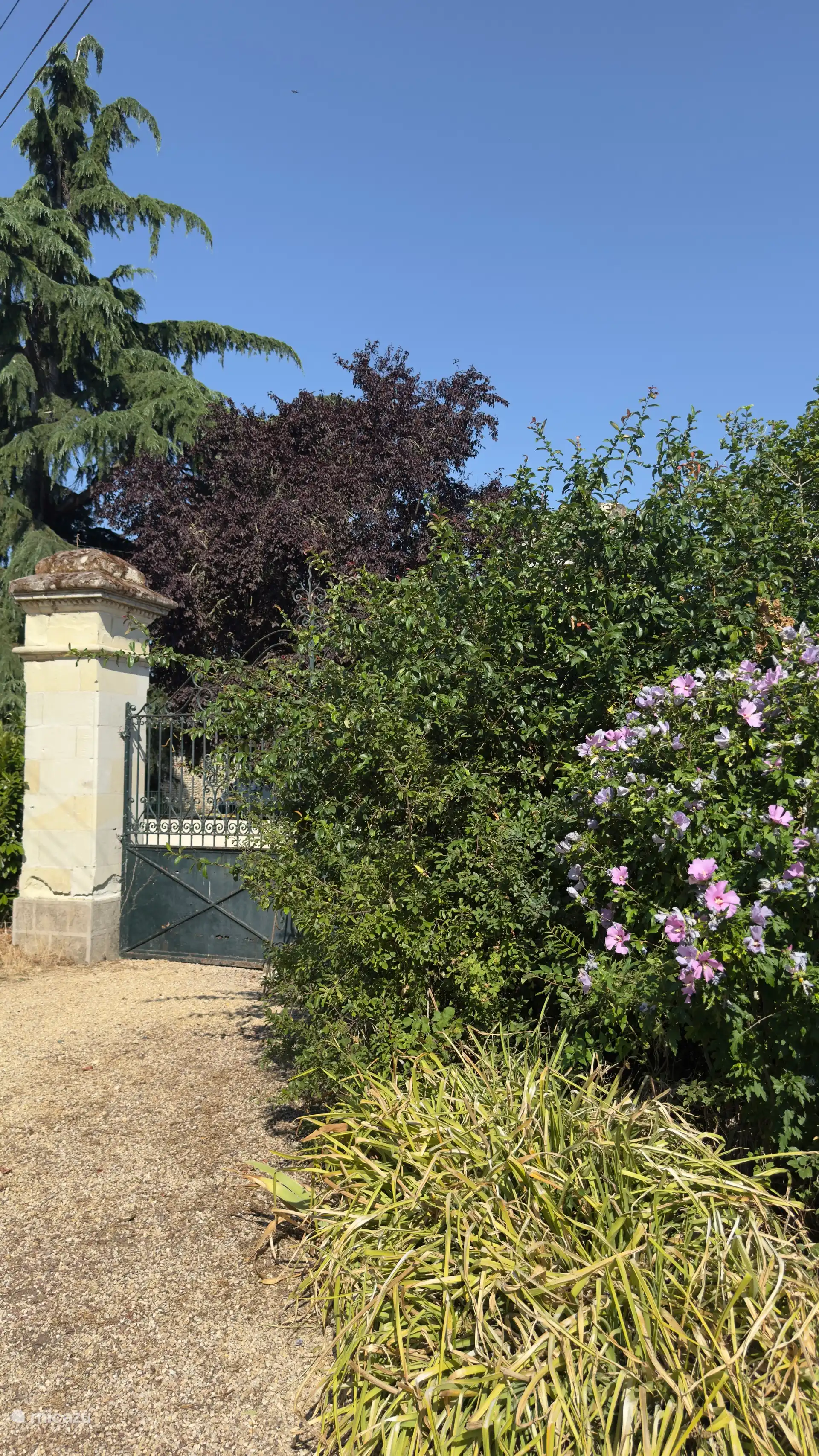 The Old Iron Gate to the property. 
