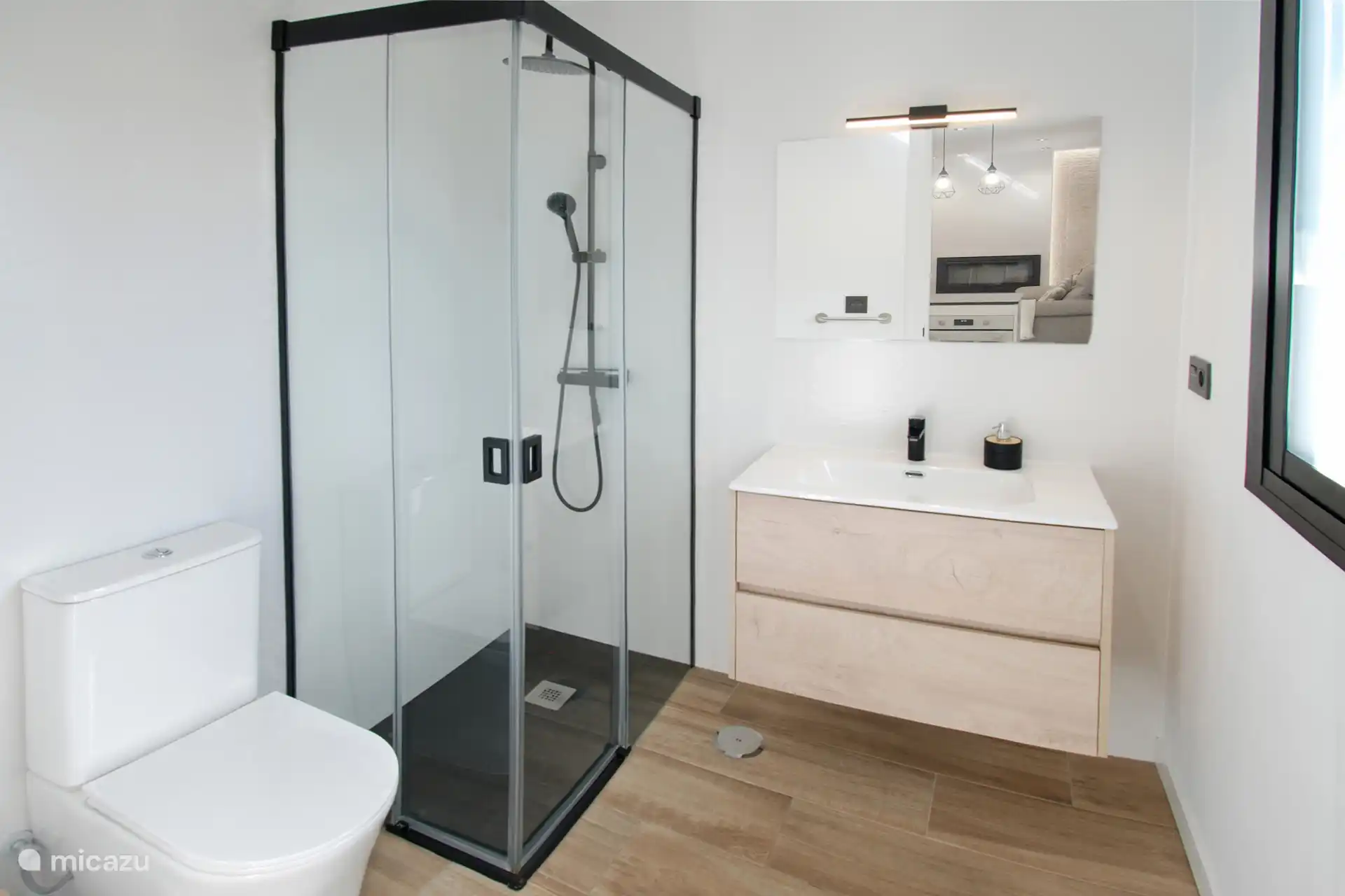 The bathroom on the ground floor with walk-in shower, sink and toilet.