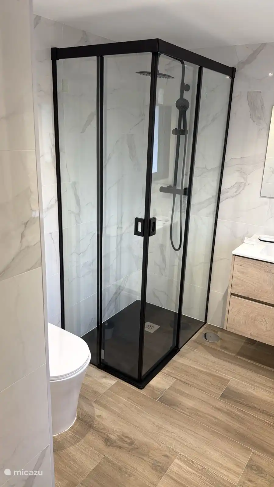Walk-in shower, toilet and sink in the en-suite bathroom. 