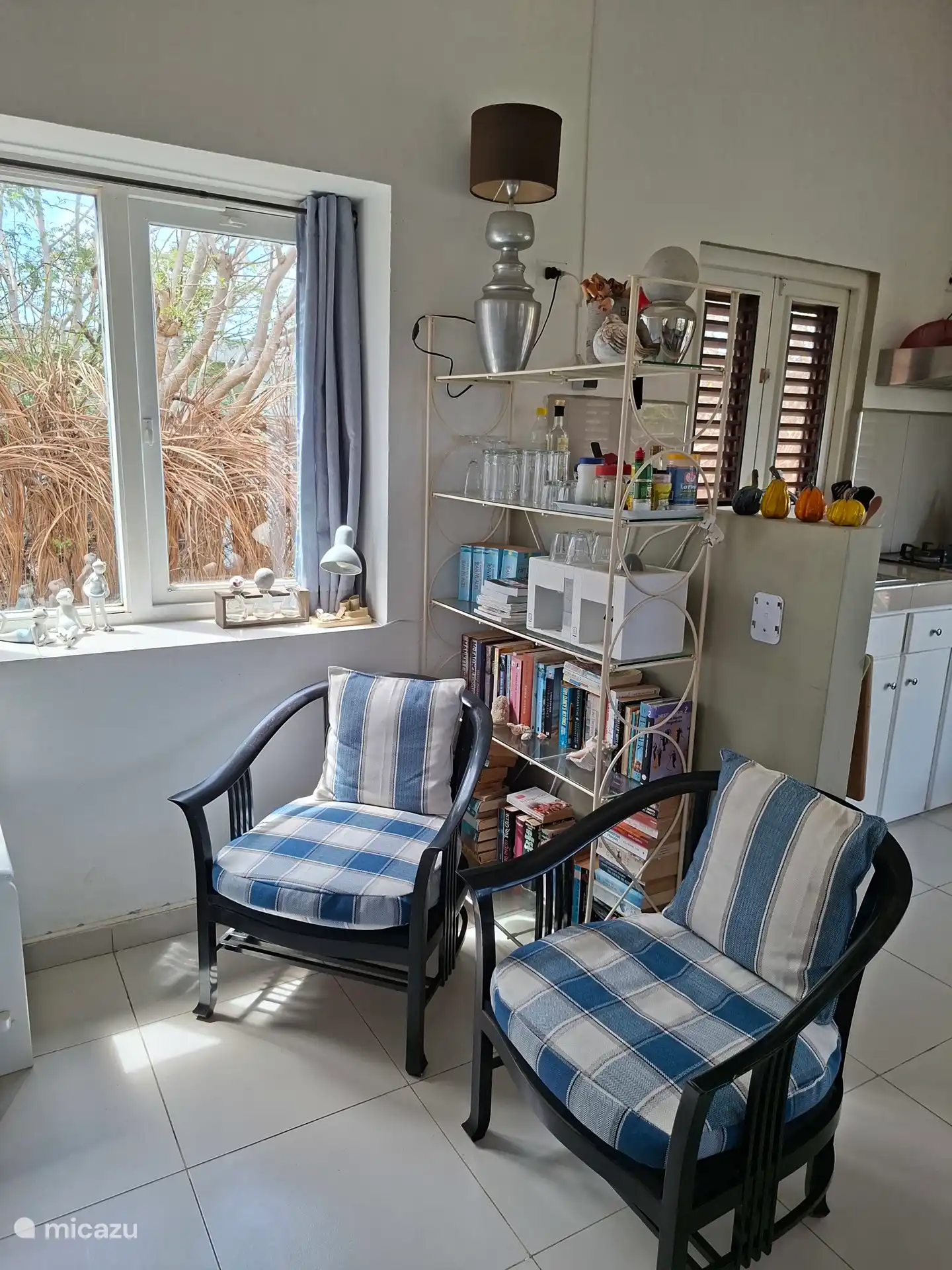 Zitgedeelte met bibliotheek 