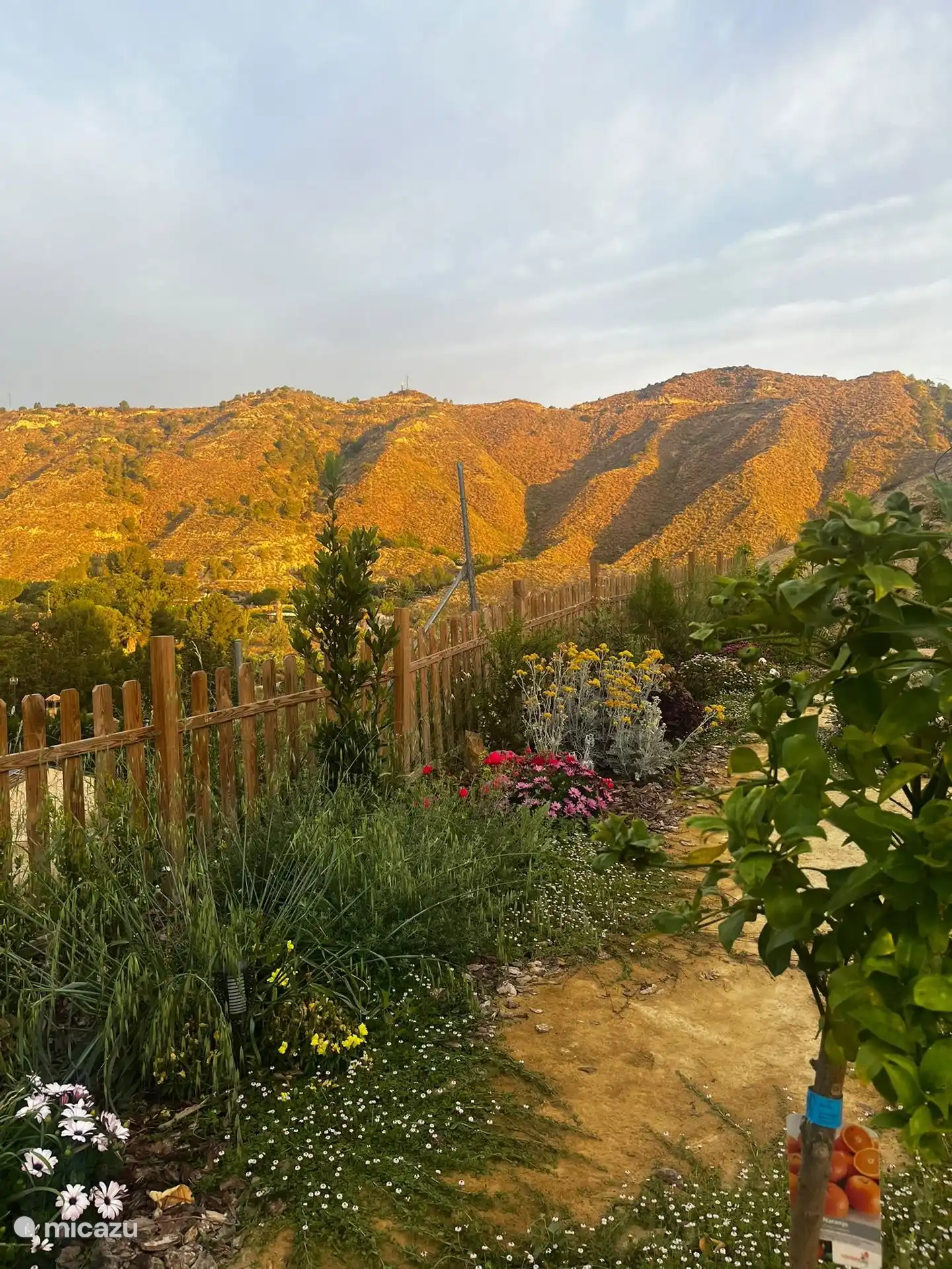 We promise golden mountains...