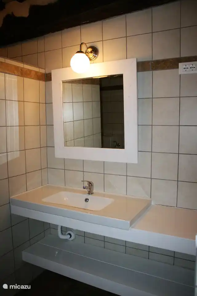 badkamer heeft wc, douche en wasbak