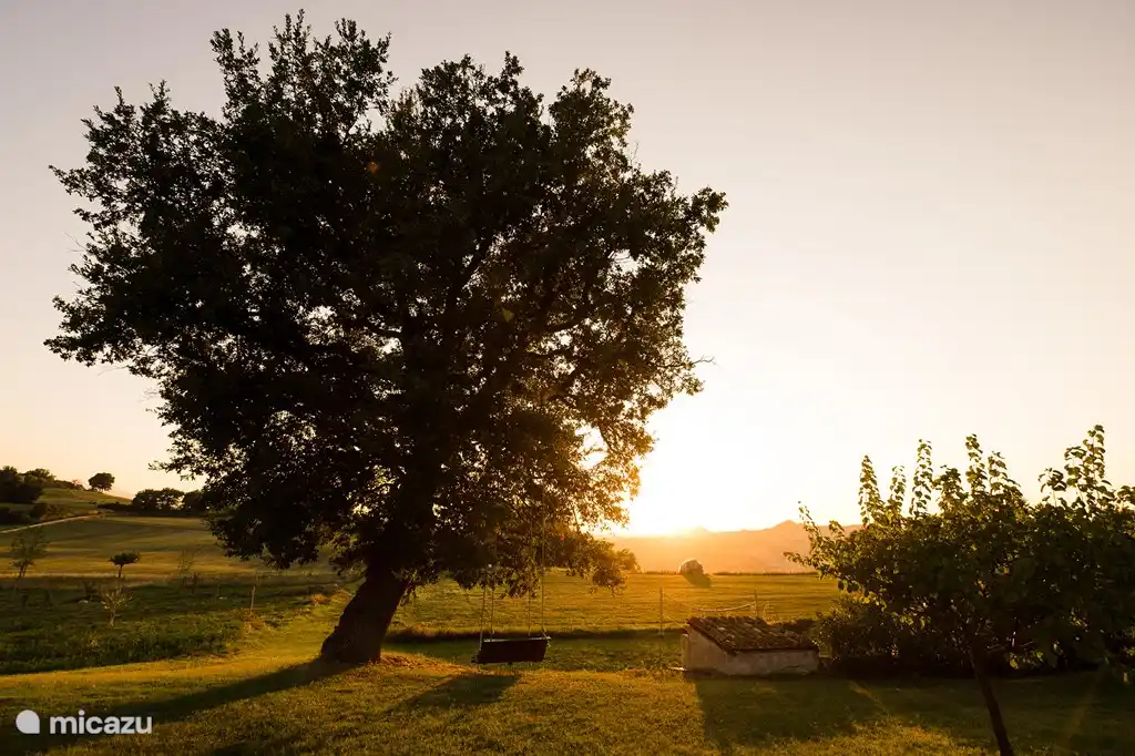 tuin met schommelbank