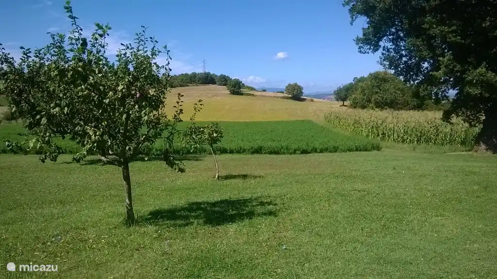 Genieten van het uitzicht.