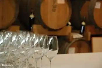 wijnproeven bij de Fazi Bataglia