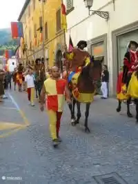In deze streek zijn er vele historische feesten te bewonderen