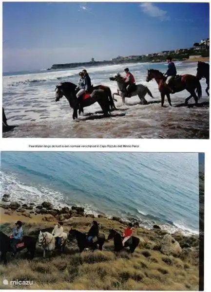 Reiten in der Landschaft und an den Stränden wie möglich.