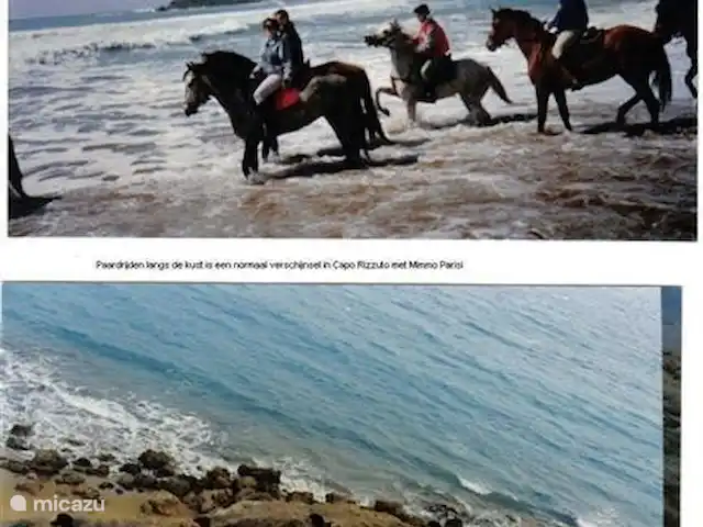 Location de Vacances Italie, Calabre, Capo Rizzuto, appartement - Casa Bahati L'équitation dans la nature et le long des plages est possible.