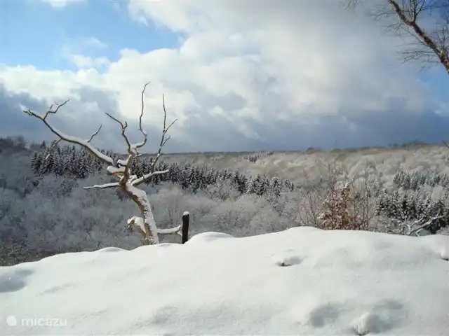 Panorama des technologies vertes | Belgique, Ardennes, Herbeumont - maison de vacances paysage de neige (cette photo a été prise dans les bois près de la maison)