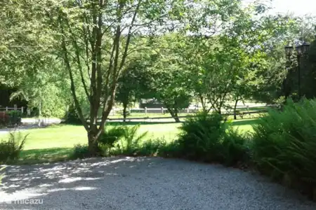 Vakantiehuis België, Ardennen, Graide chalet Eekhoorn Graide De grote voortuin