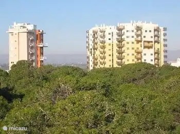 Vista desde la zona de naturaleza/dunas del Residencial Torres de Puerto Pinar