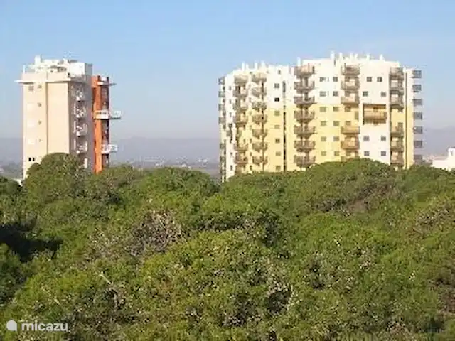 apartamento en España, Costa Blanca, Guardamar del Segura – Residencial Torres de Puerto Pinar Vista desde la zona de naturaleza/dunas del Residencial Torres de Puerto Pinar