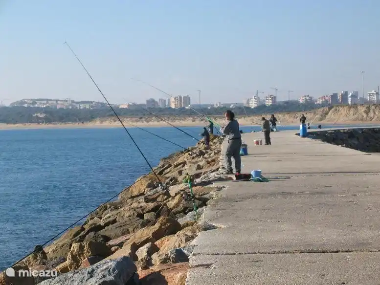 El muelle de la desembocadura del Segura