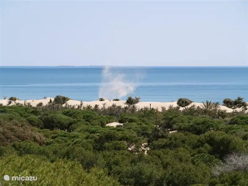 La hermosa reserva natural.