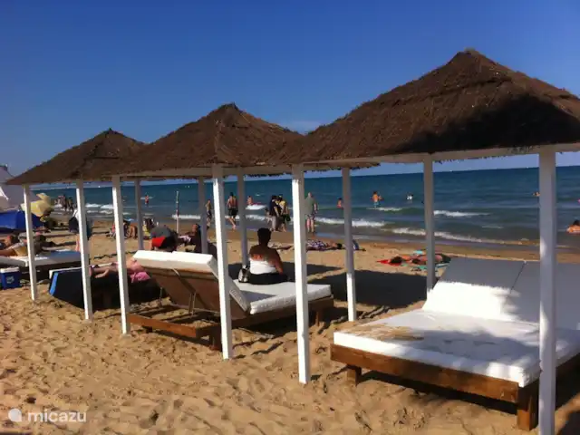 Playa Moncayo en España, Costa Blanca, Guardamar del Segura - apartamento playa playa moncayo con sus relajantes camas con dosel.