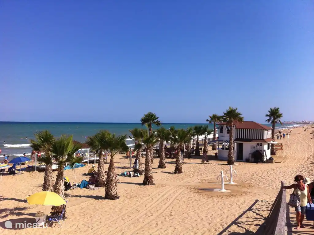 playa playa moncayo con palmeras, camas con dosel y 3 bares, por la noche en la discoteca de la playa con DJ.