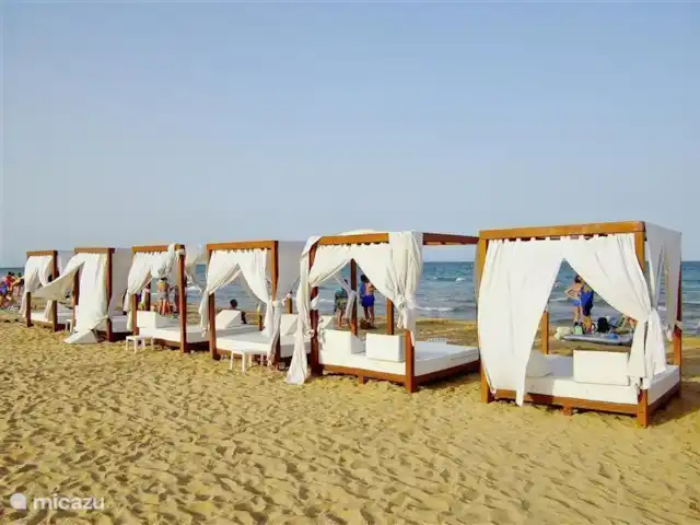 Playa Moncayo en España, Costa Blanca, Guardamar del Segura - apartamento la foto lo dice todo, felices vacaciones en las playas mas bonitas de la costa blanca