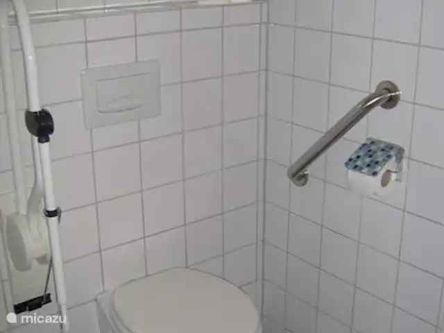 Snowview Lodge | Belgique, Ardennes, Medendorf - manoir / château Toilettes pour handicapés