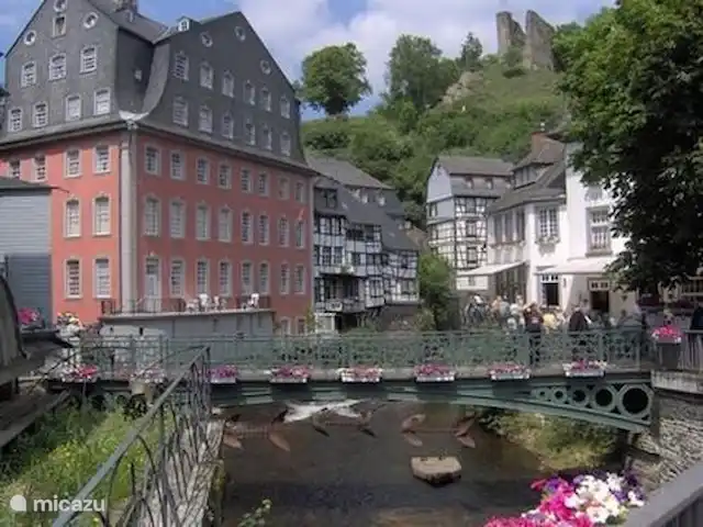 Snowview Lodge | Belgique, Ardennes, Medendorf - manoir / château Monschau à 33 km