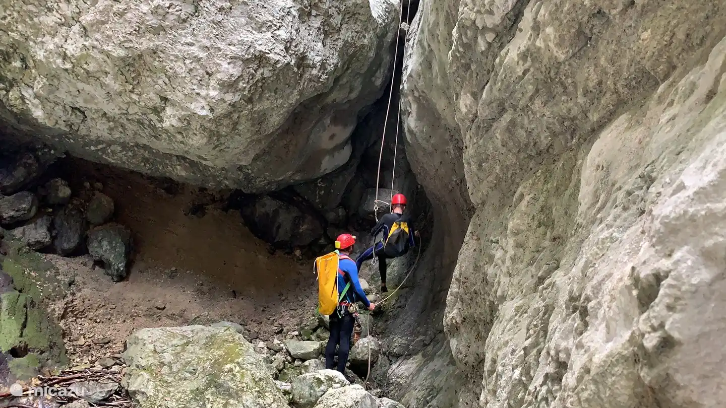 esto también se puede organizar