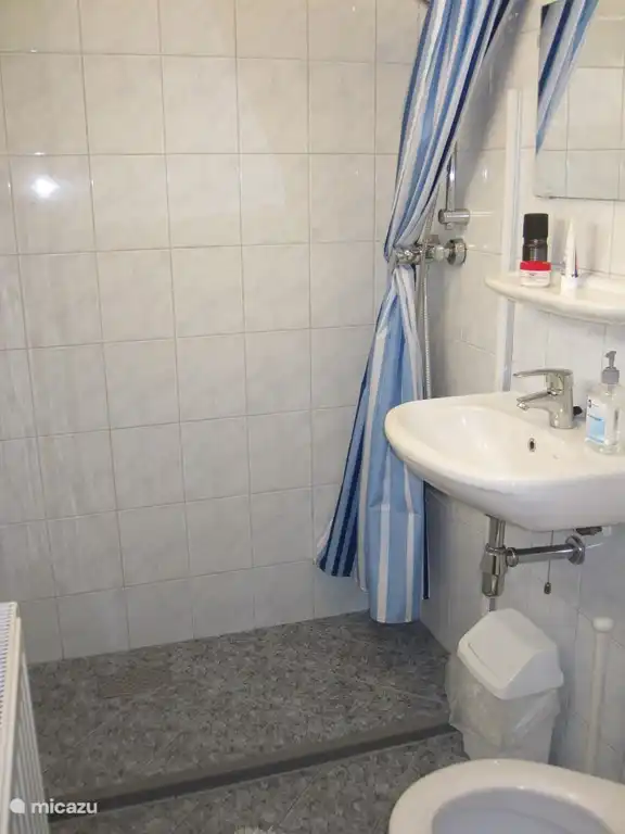 Een functionele toilet/doucheruimte