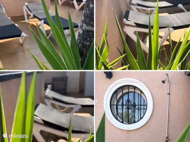 Maison de rêve en Espagne | Espagne, Costa Blanca, Orihuela Costa - maison de vacances Terrasse sur le toit