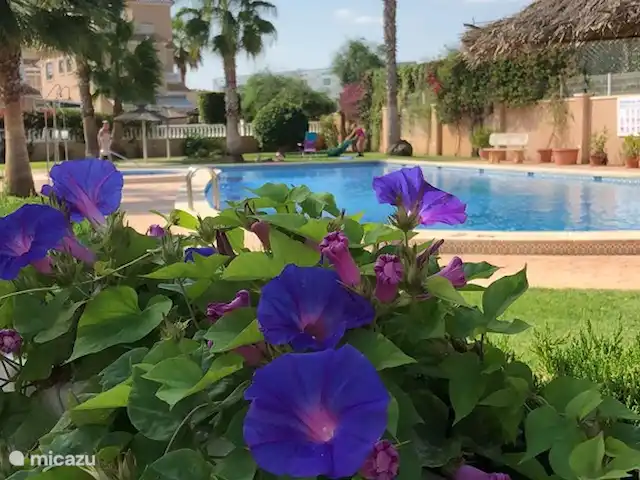 Maison de rêve en Espagne | Espagne, Costa Blanca, Orihuela Costa - maison de vacances Vue de la terrasse à côté de la maison sur la piscine.