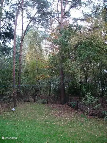 Ein Teil der (eingezäunt) Garten