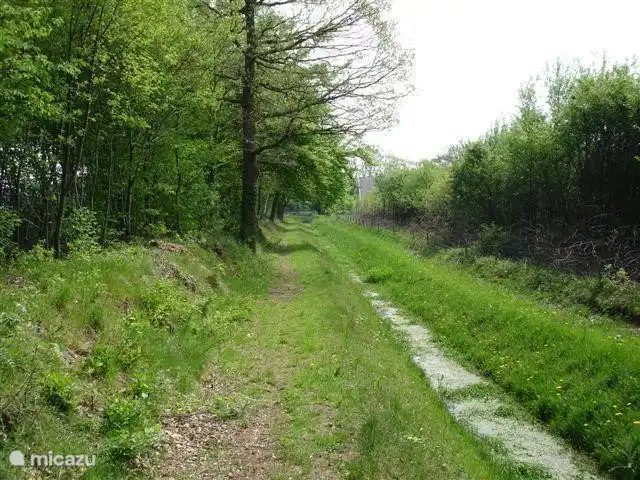 Eine schöne Kulisse