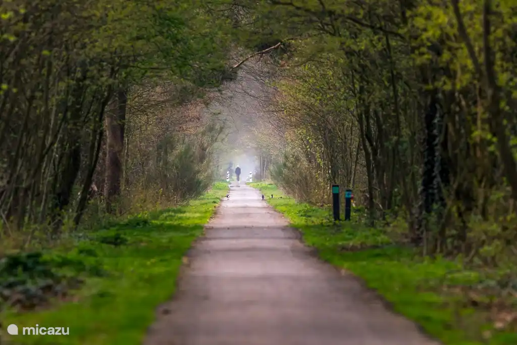Radweg nach Winterswijk