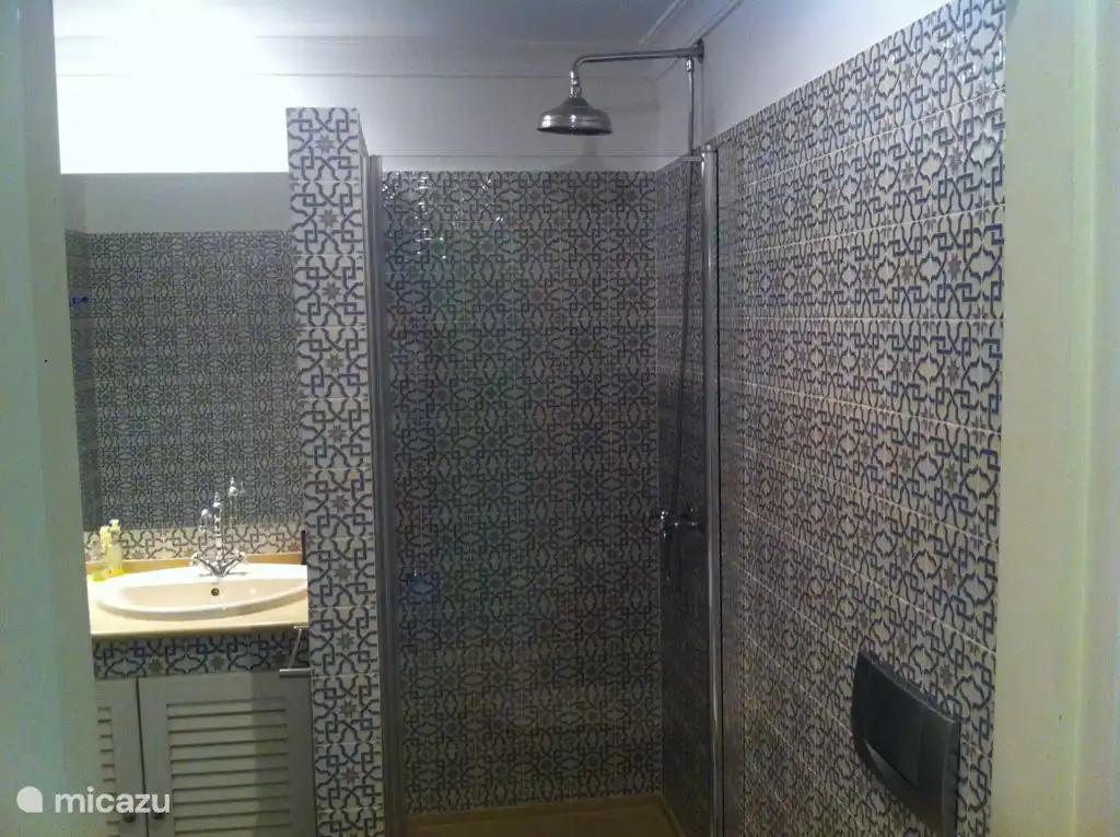 Salle de bain en bas