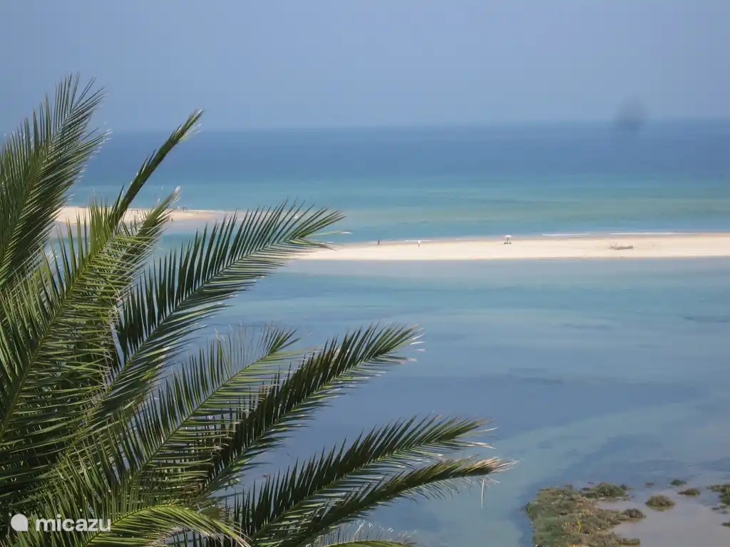 plages au large de la côte