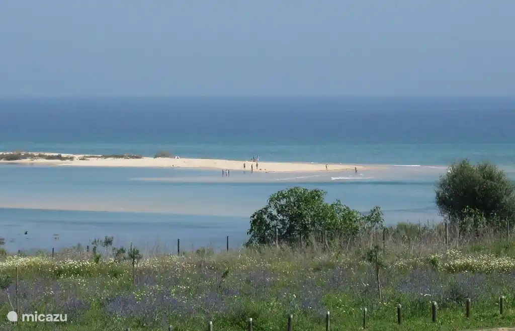 plages au large de la côte