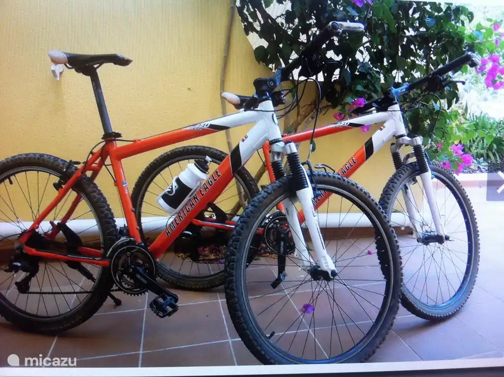 Les VTT sont inclus : de beaux itinéraires se font vers le nord le long du fleuve Guadiana, ou dans la réserve naturelle de Sapal pour observer les flamants roses.