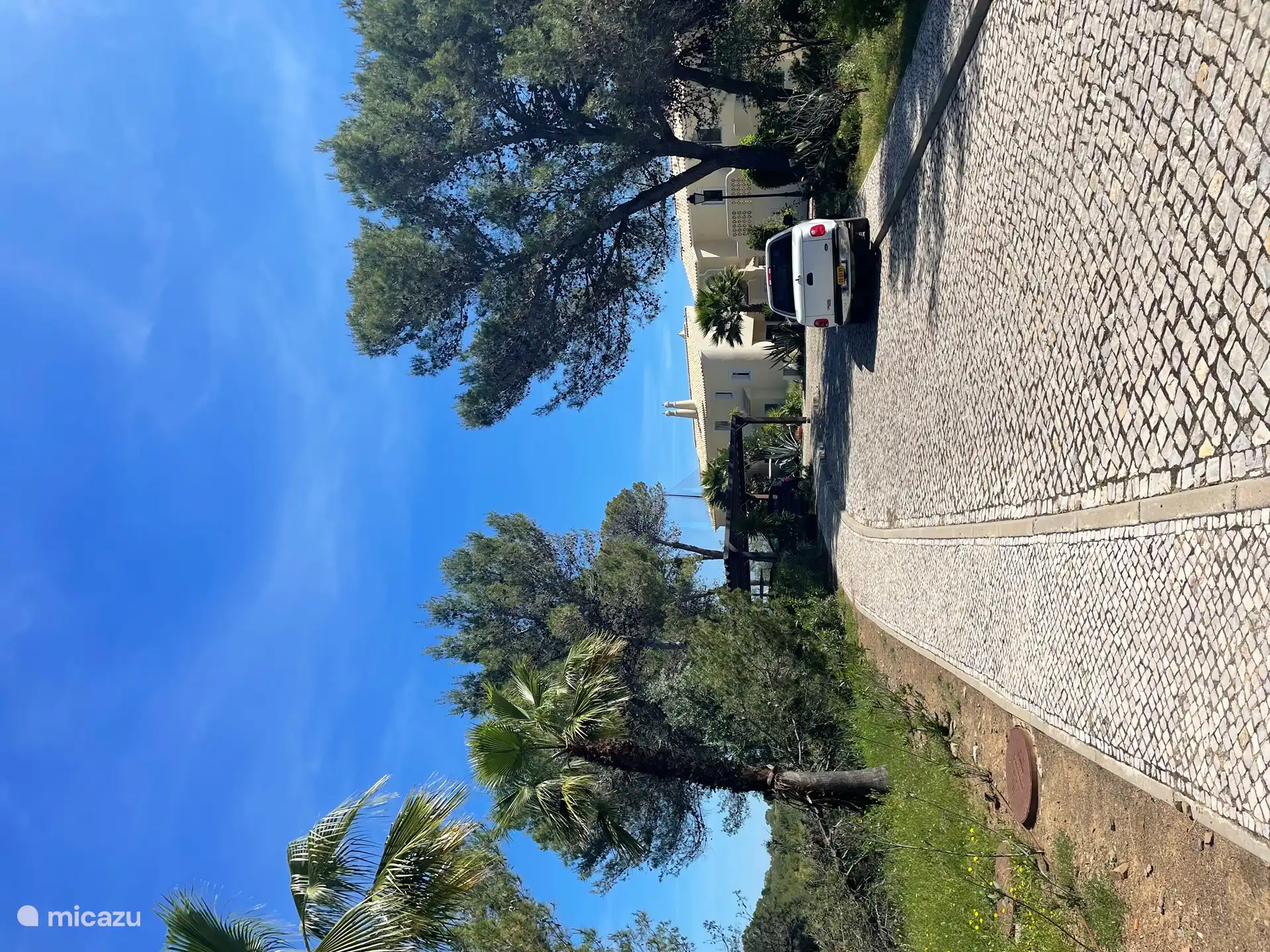 Allée tranquille/pas de route principale.